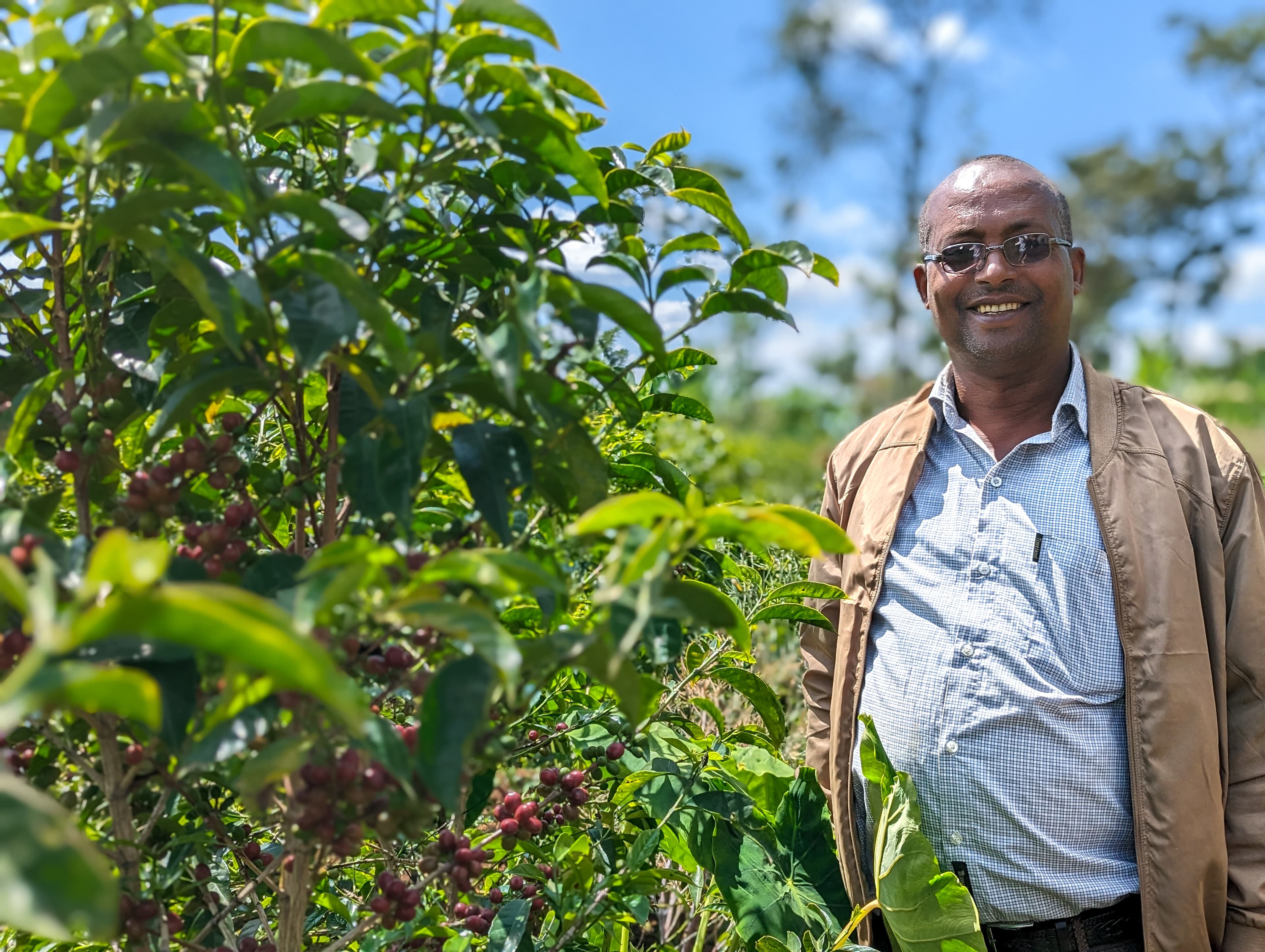 Ethiopian Nguisse Nare